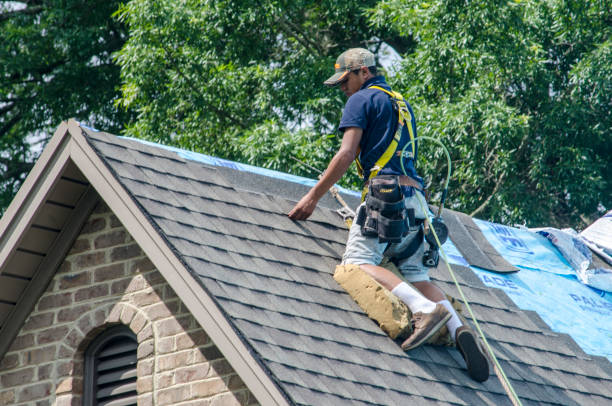 Quick and Trustworthy Emergency Roof Repair Services in Cedar Rapids, IA